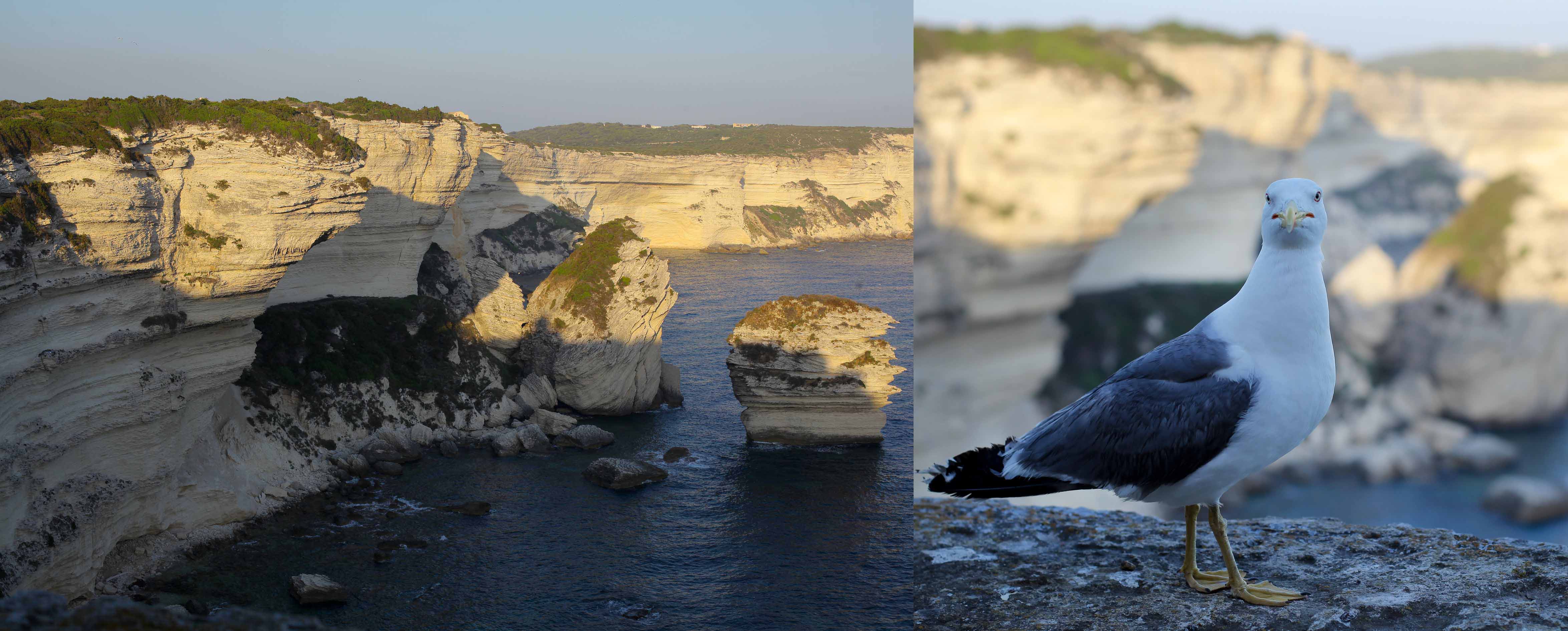 Bonifacio 03