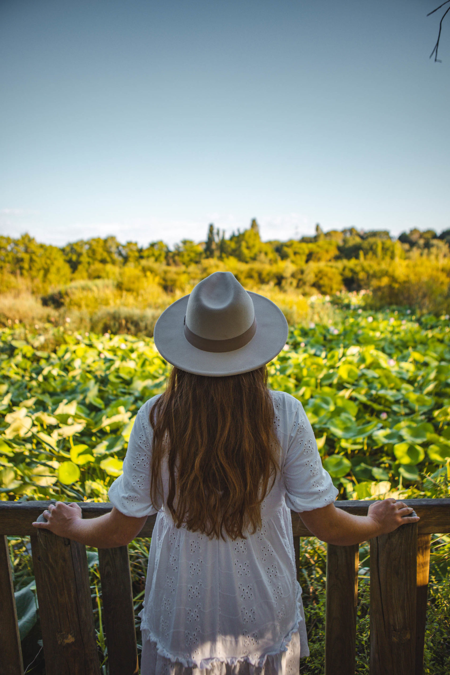 Mougins Tang De Fontmerle Lotus On Met Les Voiles Blog Voyage En