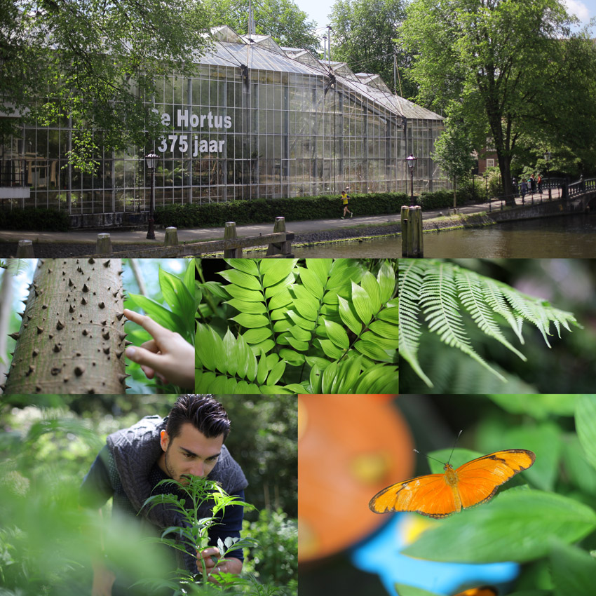 Jardin botanique