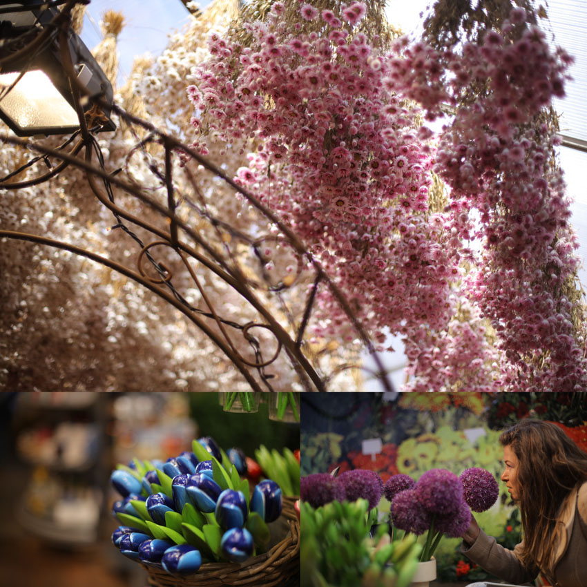 marché aux fleurs amsterdam