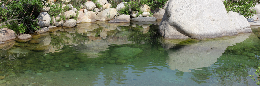 Piscine naturelle 1