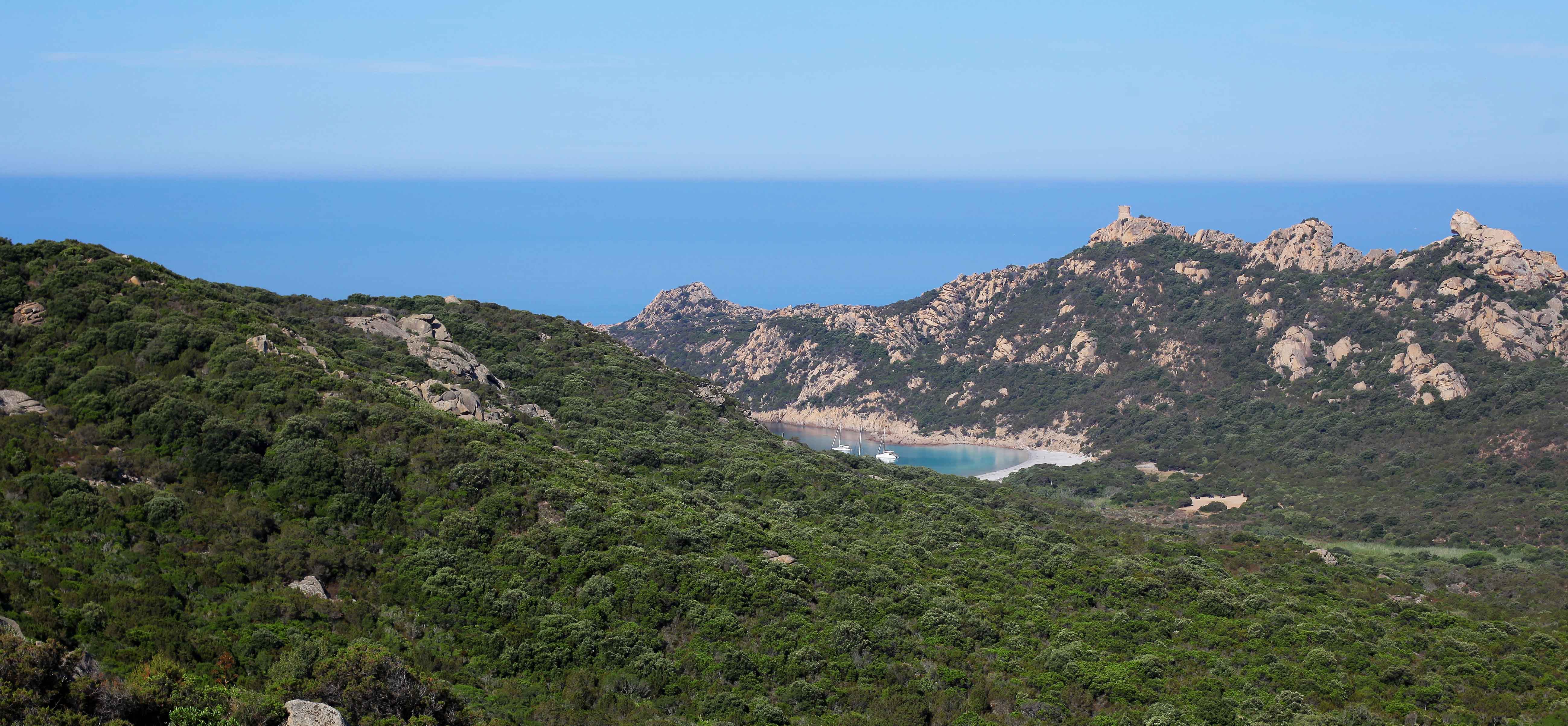 Corse-281