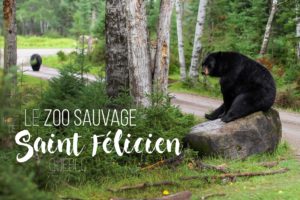 Zoo sauvage saint felicien
