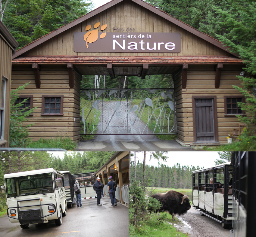 Parc des sentiers de la nature