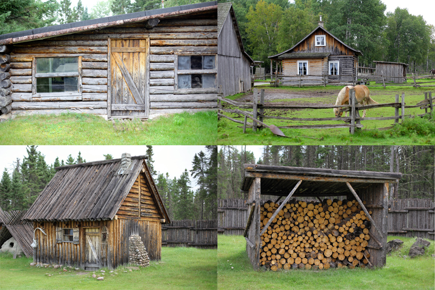 Reconstitution zoo sauvage