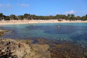 Cala Bassa Ibiza