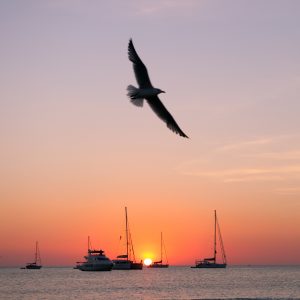 Cala saona formentera