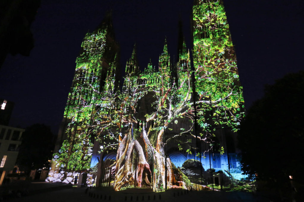 illumination rouen