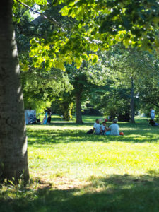 Parc Borely Marseille