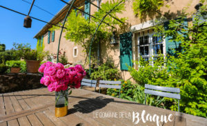 Provence Verte