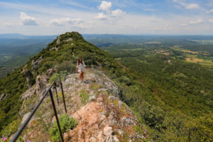 Provence Verte