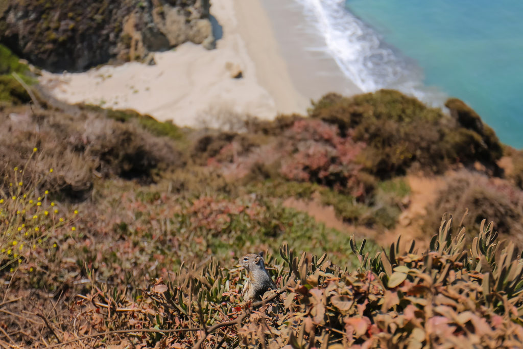 Californie Highway 1