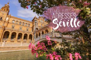Meilleures adresses Seville