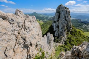 Vaucluse