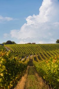 Canton de Vaud