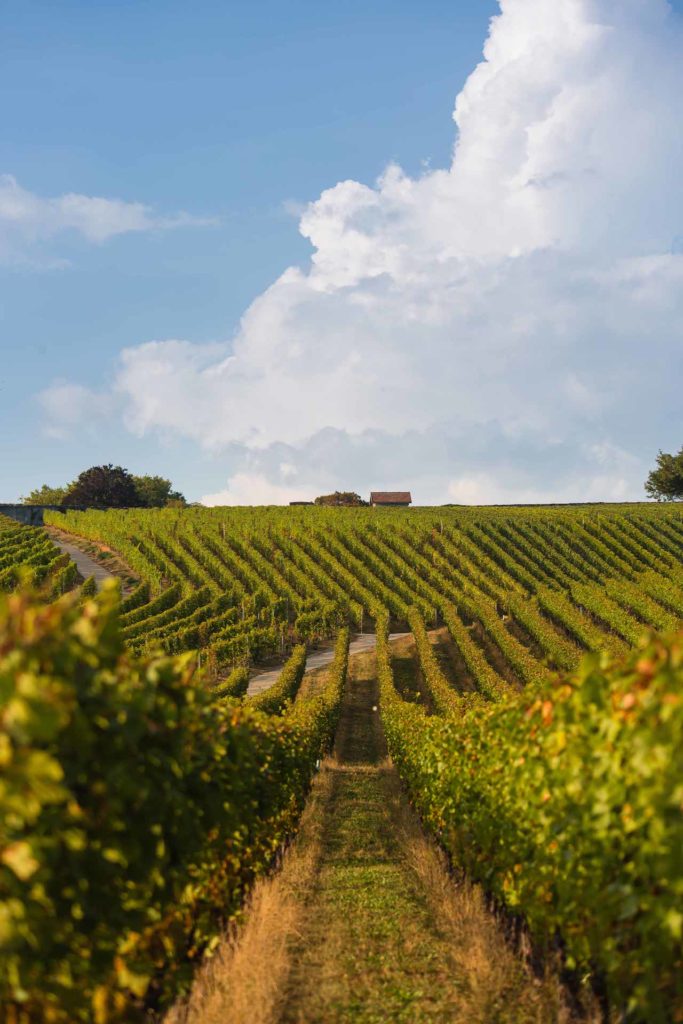 Canton de Vaud