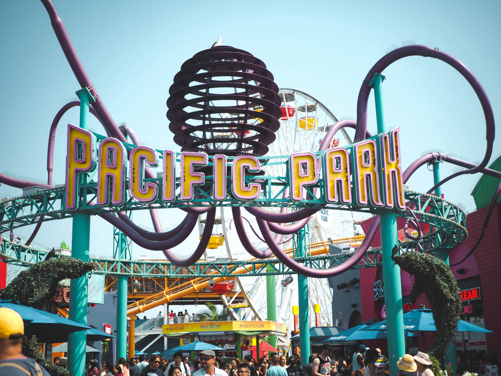 monica pier
