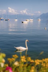 Canton de Vaud