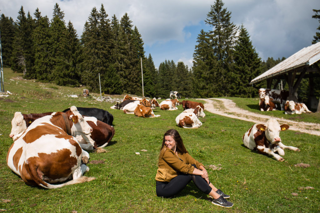 Canton de Vaud