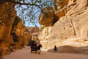 Petra