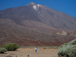 Visiter Tenerife