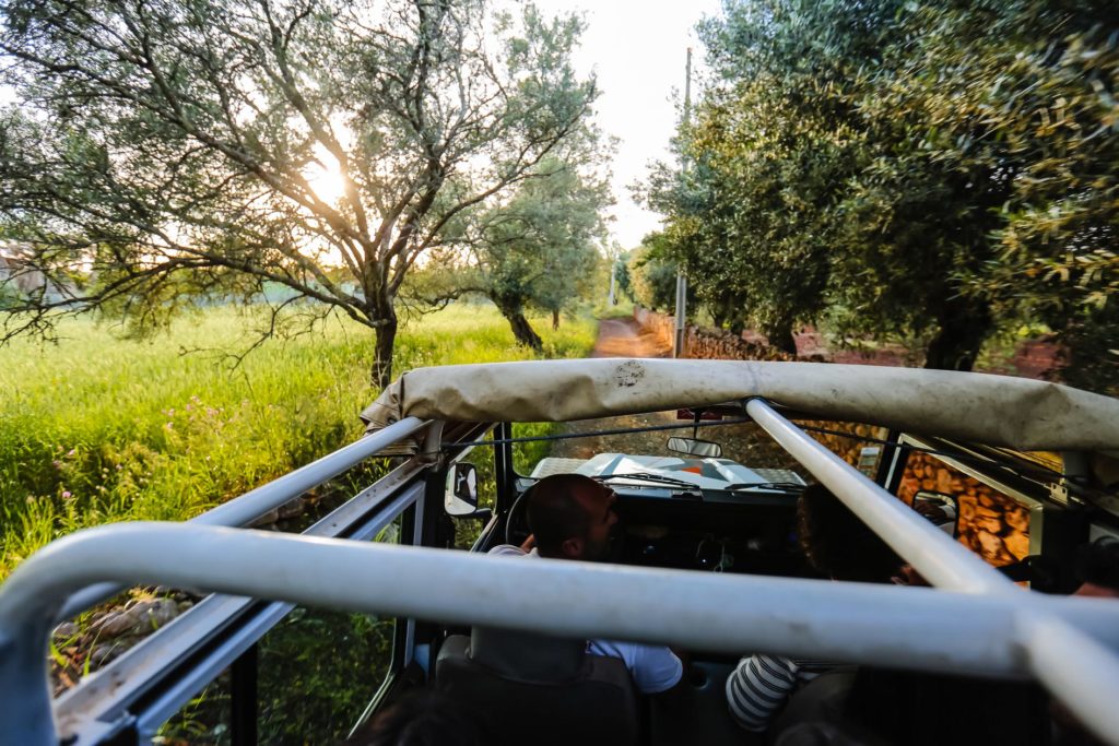 safari jeep