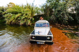 safari jeep