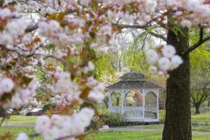 Philadelphie Fairmount park