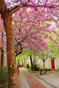 Philadelphie