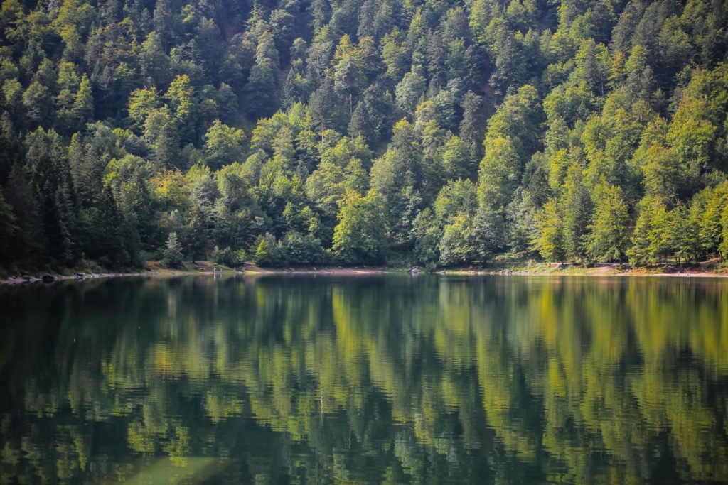 vosges
