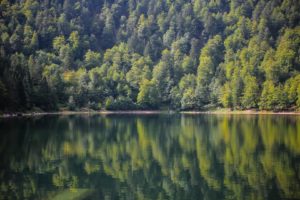 vosges
