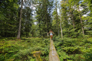 vosges