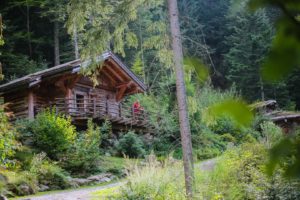 logement insolite vosges