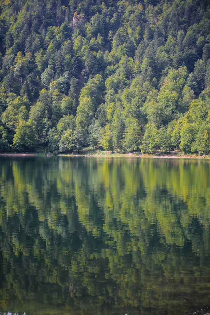Vosges