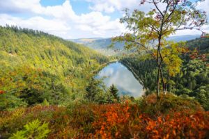 vosges