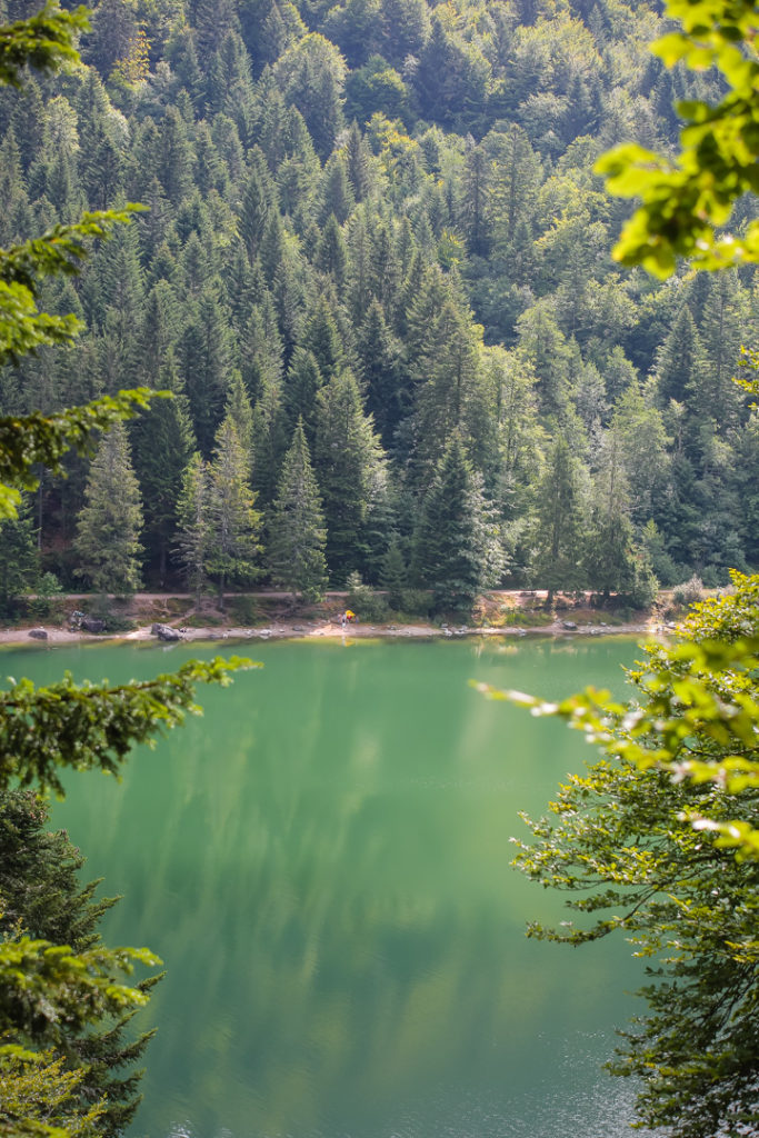 Vosges