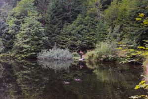 VTT vosges