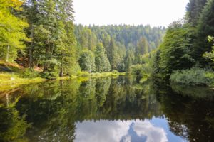 VTT vosges
