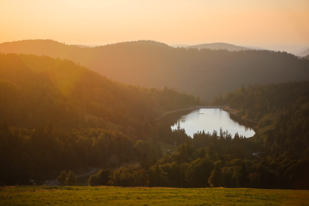 Vosges