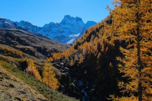 queyras mont viso
