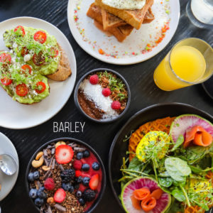 barley montreal
