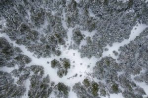 Font-Romeu