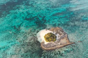 guyam island siargao