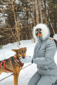 Un chien de traîneau dans l'Outaouais