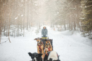 Traîneau à chiens au Québec en hiver dans l'Outaouais