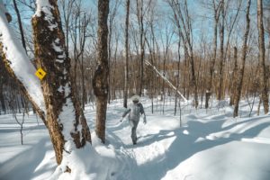 Parc National du Mont Tremblant sous la neige en hiver