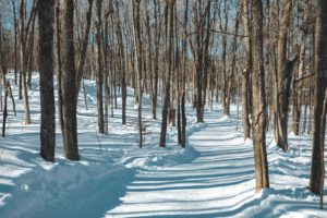 Sentier de la sucrerie à Chelsea dans le parc Gatineau au Québec en hiver
