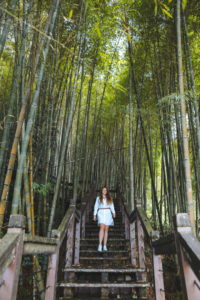 Taiwan