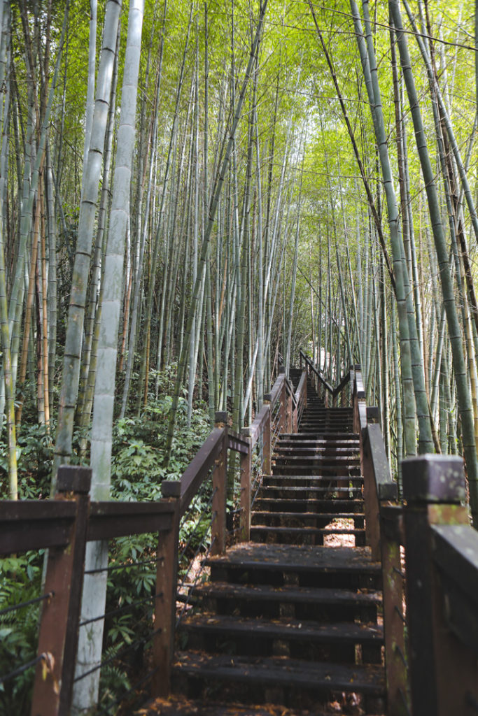 Taiwan