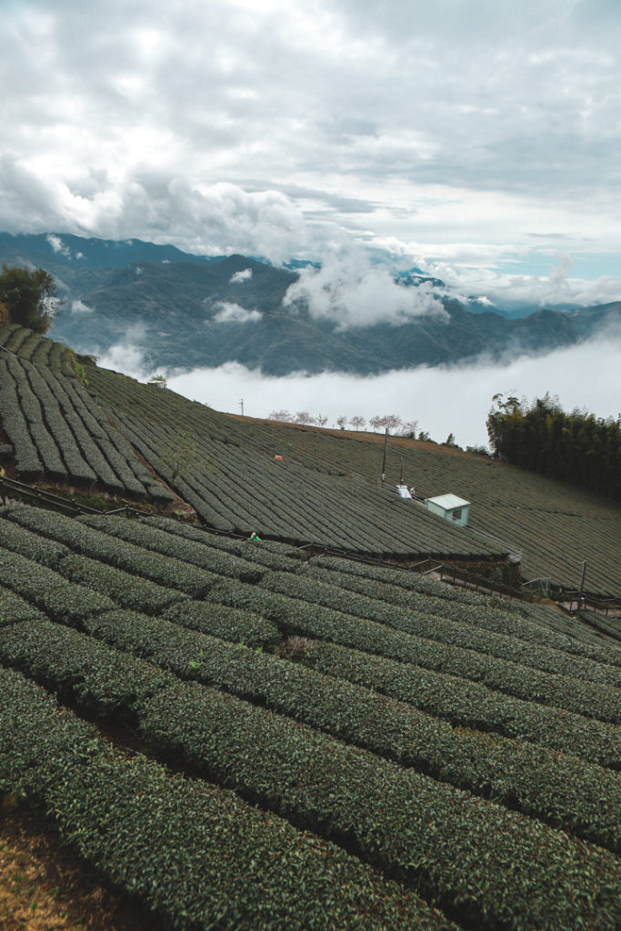 Taiwan
